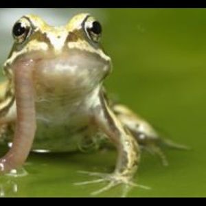 Meet your Posher, Luke